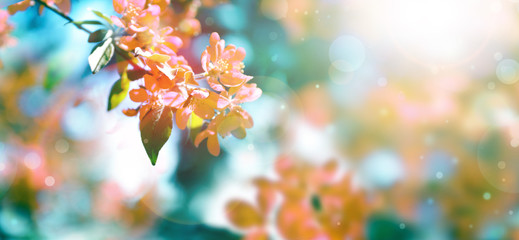陈后主的《春江花月夜》词是什么？